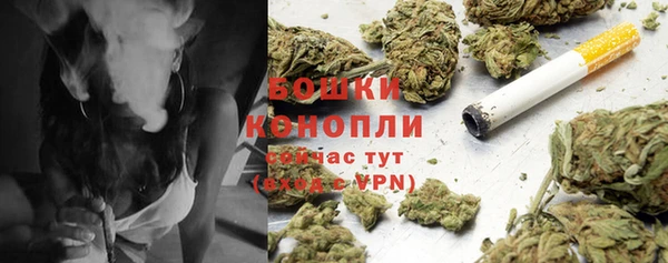СК Покачи