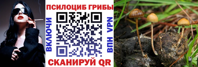 Галлюциногенные грибы MAGIC MUSHROOMS Ленинградская